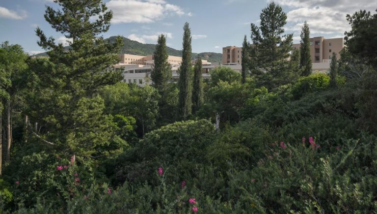 Как выбрать жилой комплекс по экологии и локации